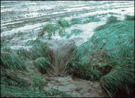 run off erosion