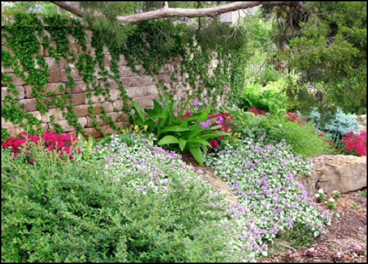 Slope landscaping