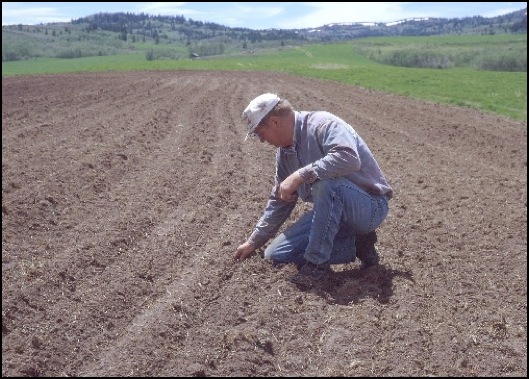 What is Soil Made of? thumbnail image