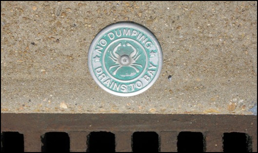 Storm Drain