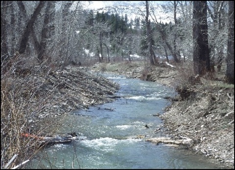 stream restoration